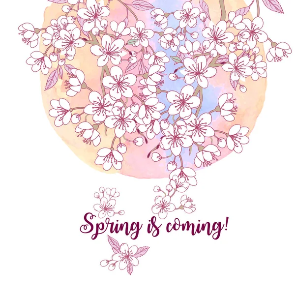 Весна фон с сакурой — стоковый вектор