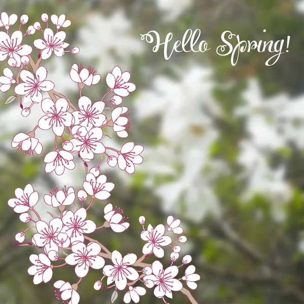 Frühling Hintergrund mit Sakura — Stockvektor