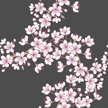 Sakura ile Seamless Modeli