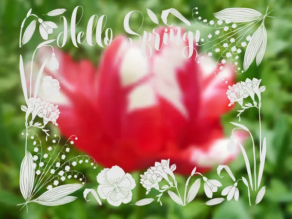 背景与春天花园的花朵 — 图库矢量图片