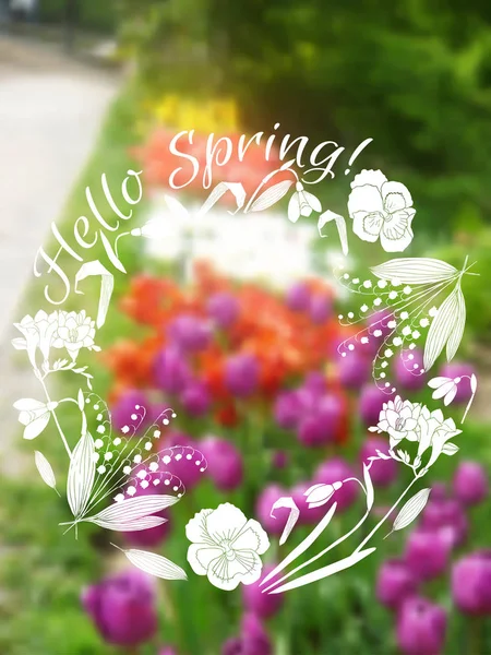 Háttérben a tavaszi kerti virágok — Stock Vector