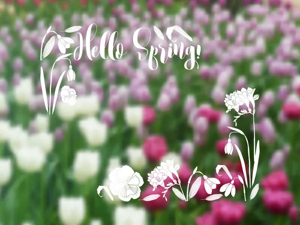 Fondo con flores de jardín de primavera — Vector de stock
