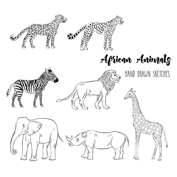 Conjunto de animales africanos — Vector de stock