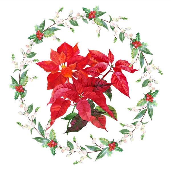 Poinsettia et couronne de Noël — Photo