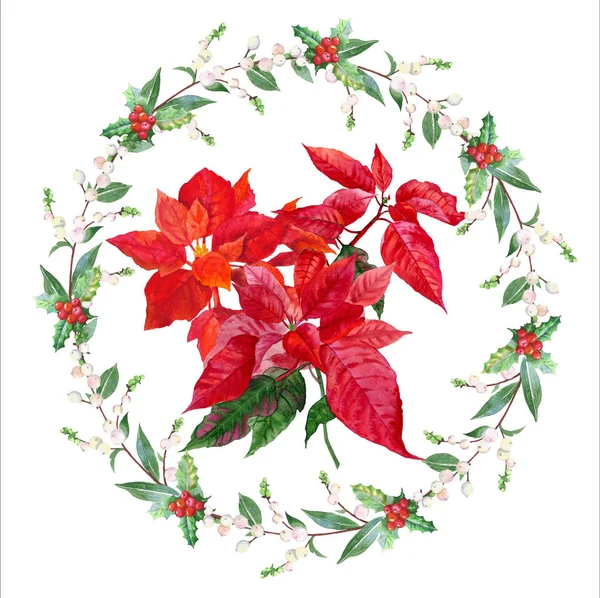 Poinsettia et couronne de Noël — Photo