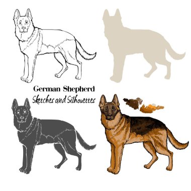 Alman çoban köpekleri çizimler