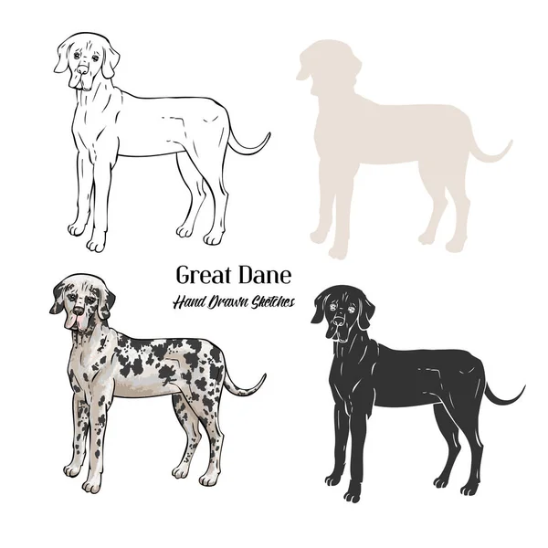 Gran danés perros bocetos — Archivo Imágenes Vectoriales