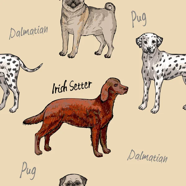 Patrón sin costuras con perros — Archivo Imágenes Vectoriales