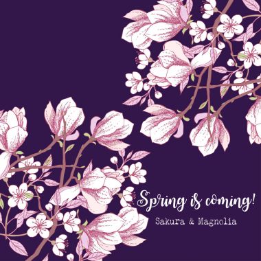 Manolya ve cherry blossom ağaç arka plan
