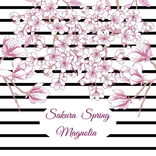 Primavera Sakura y Magnolia Fondo — Archivo Imágenes Vectoriales