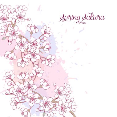 Sakura çiçeği ağaçları ile bahar arka plan