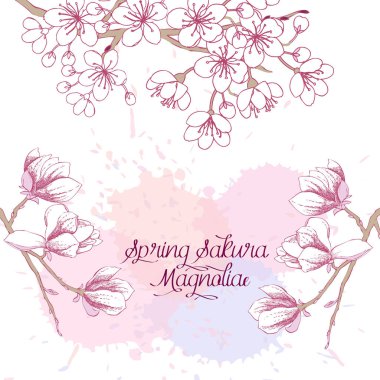 Sakura çiçeği ağaçları ile bahar arka plan