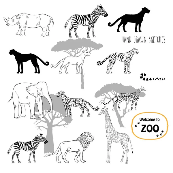 Zoo animaux croquis fond — Image vectorielle