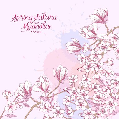 Sakura çiçeği ağaçları ile bahar arka plan