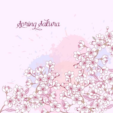 Sakura çiçeği ağaçları ile bahar arka plan