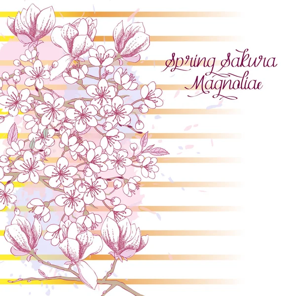 Sakura çiçeği ağaçları ile bahar arka plan — Stok Vektör