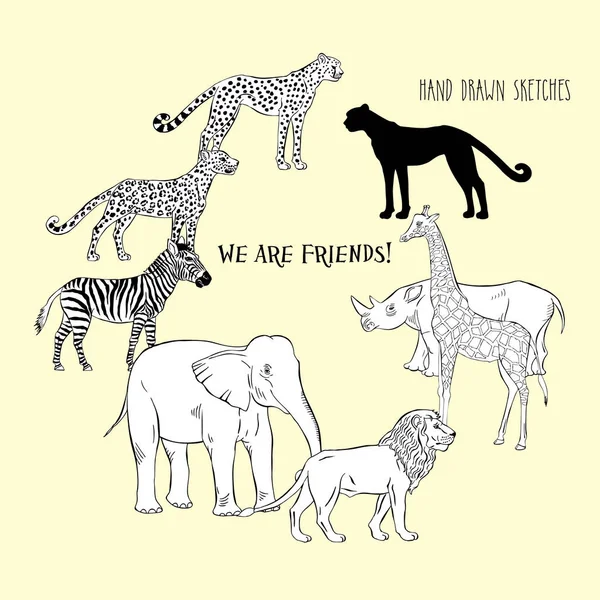 Zoo animals background with savanna animals — Stock Vector