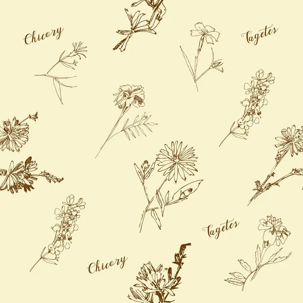 Бесшовный рисунок с дикими цветами с летними ботаническими эскизами — стоковый вектор