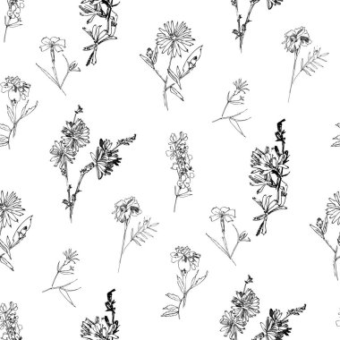 Yaz Botanik Çizimleriyle Vahşi Çiçekler 'in kusursuz deseni
