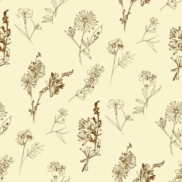 Sömlöst mönster med vilda blommor med sommarbotaniska skisser Royaltyfria Stockvektorer