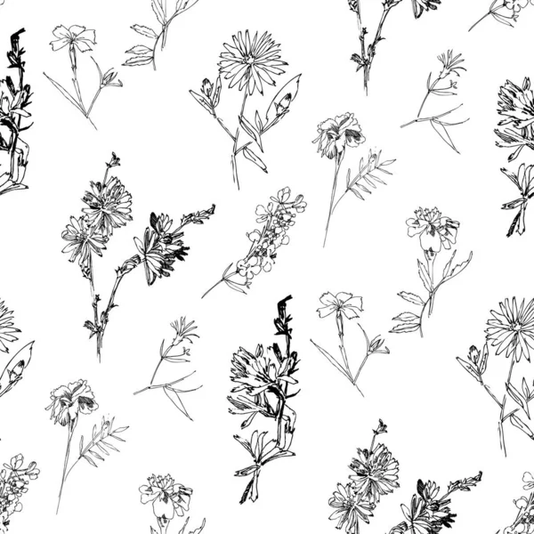 Modèle sans couture avec des fleurs sauvages avec des croquis botaniques d'été Graphismes Vectoriels