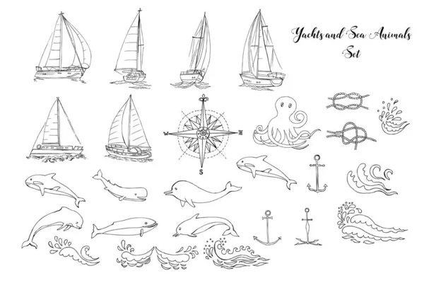 Fondo náutico con barcos, yates, animales marinos, delfines y nudos marinos. Ilustración vectorial — Archivo Imágenes Vectoriales