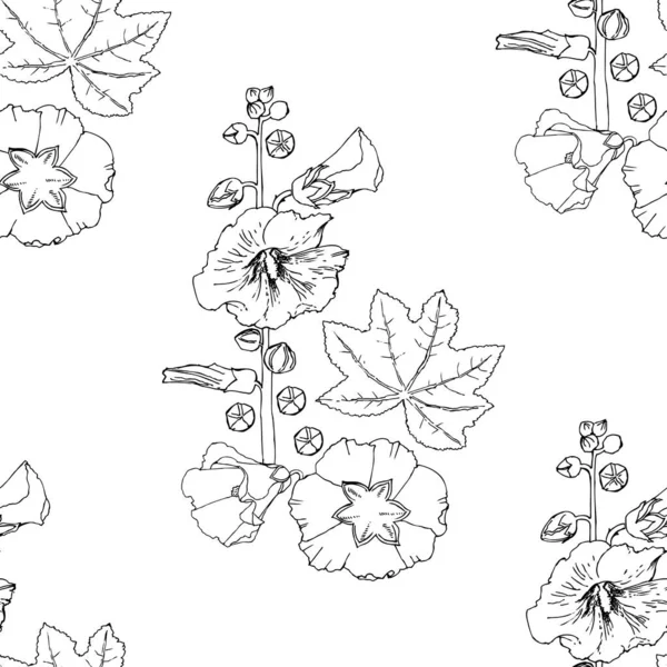 Padrão sem costura Malva Summer Flowers Sketches. Ilustração digital desenhada à mão Vetores De Stock Royalty-Free