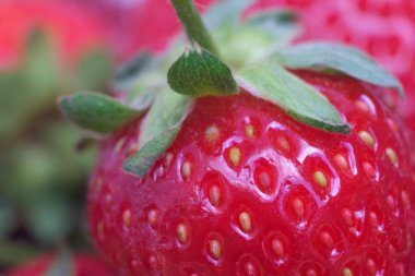 Çilek yakındır. Görünür yapı ve küçük detaylar