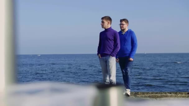 Two gay sit at sea — Stock Video