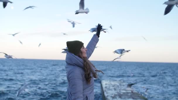 Girl in a warm jacket surrounded by seagulls Royalty Free Stock Video