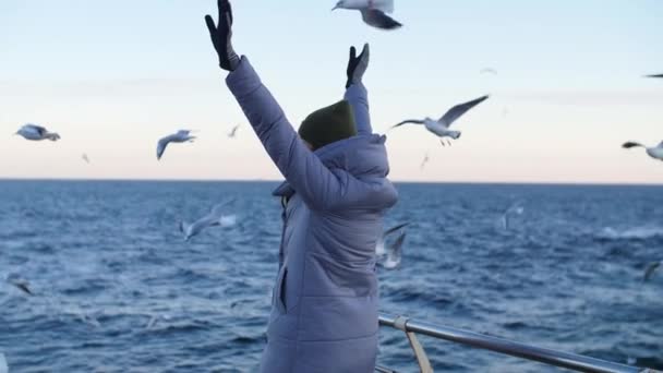 Menina em uma jaqueta quente cercada por gaivotas — Vídeo de Stock