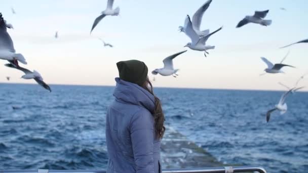 Chica en una chaqueta caliente rodeada de gaviotas — Vídeo de stock