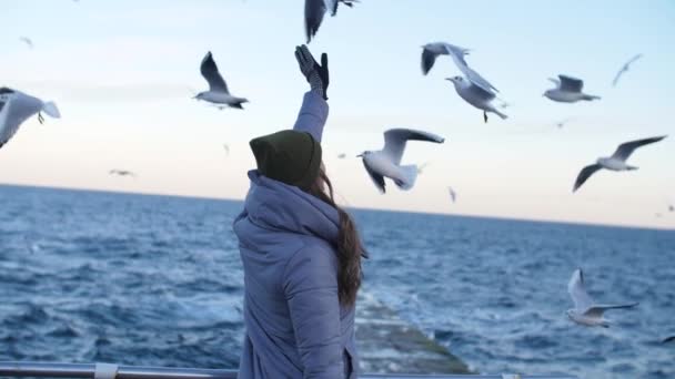 Chica en una chaqueta caliente rodeada de gaviotas — Vídeos de Stock