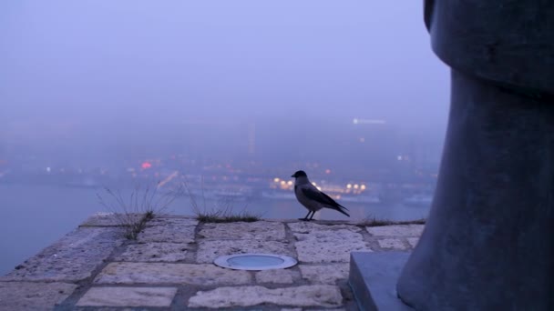 View of the chain bridge in the fog — Stock video