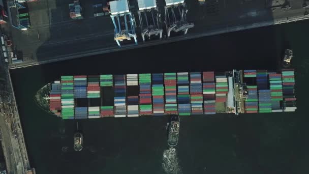货轮在港口 — 图库视频影像