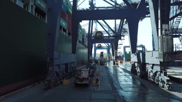 Lastfartyg i hamn — Stockvideo