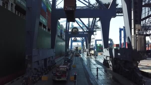 Vrachtschip in de haven — Stockvideo