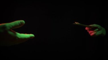 Siyah arka planda kadın elleri