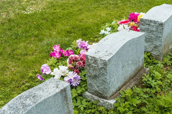 Headstones em um cemitério com muitas tulipas vermelhas — Fotografia de Stock