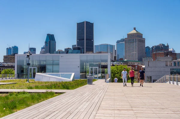 Montreal May 2020 Montreal Skyline Grand Quay Old Port — Stock Photo, Image