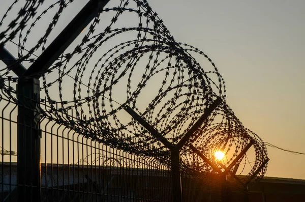 Scheermesdraad Barbed Tape Een Hek Bij Zonsondergang — Stockfoto