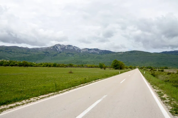 Yeşil tarladan geçen köy yolu