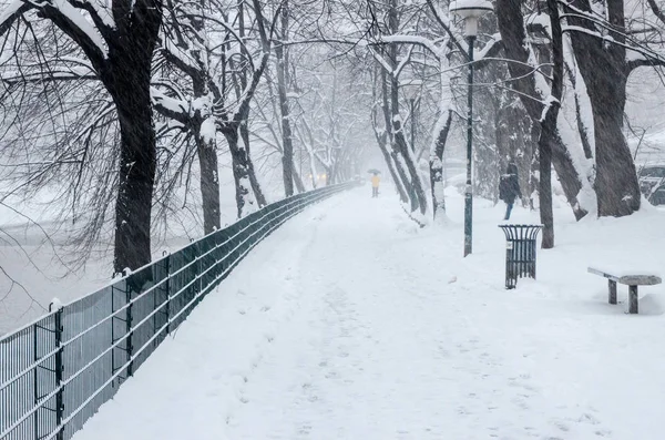 Şehir parkında kışın kar yağar 