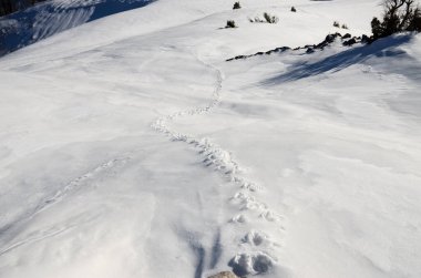Karlı dağları ve doğa arkaplanı olan manzaralı kış manzarası