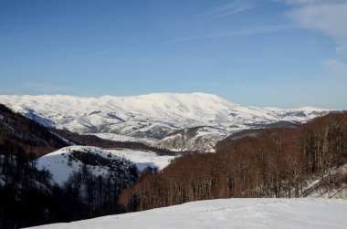 Karlı dağları ve doğa arkaplanı olan manzaralı kış manzarası