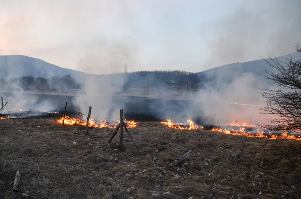 Akşam vakti karayolu kenarında yanan bir tarla. 