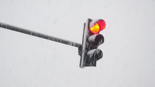 Bei Starkem Schneefall Und Schneesturm Regelt Eine Ampel Den Verkehr — Stockvideo