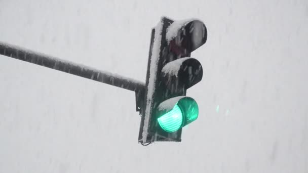 Trafikljus Reglerar Trafiken Tung Vintersnö Och Snöstorm Belyst Ljus Mot — Stockvideo