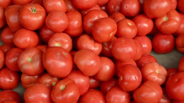 Νωπές Ώριμες Ντομάτες Προς Πώληση Στην Αγορά Των Γεωργών — Αρχείο Βίντεο
