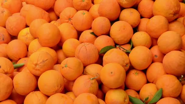 Frische Orangen Auf Dem Obstmarkt Hautnah Kisten Voller Reifer Orangen — Stockvideo